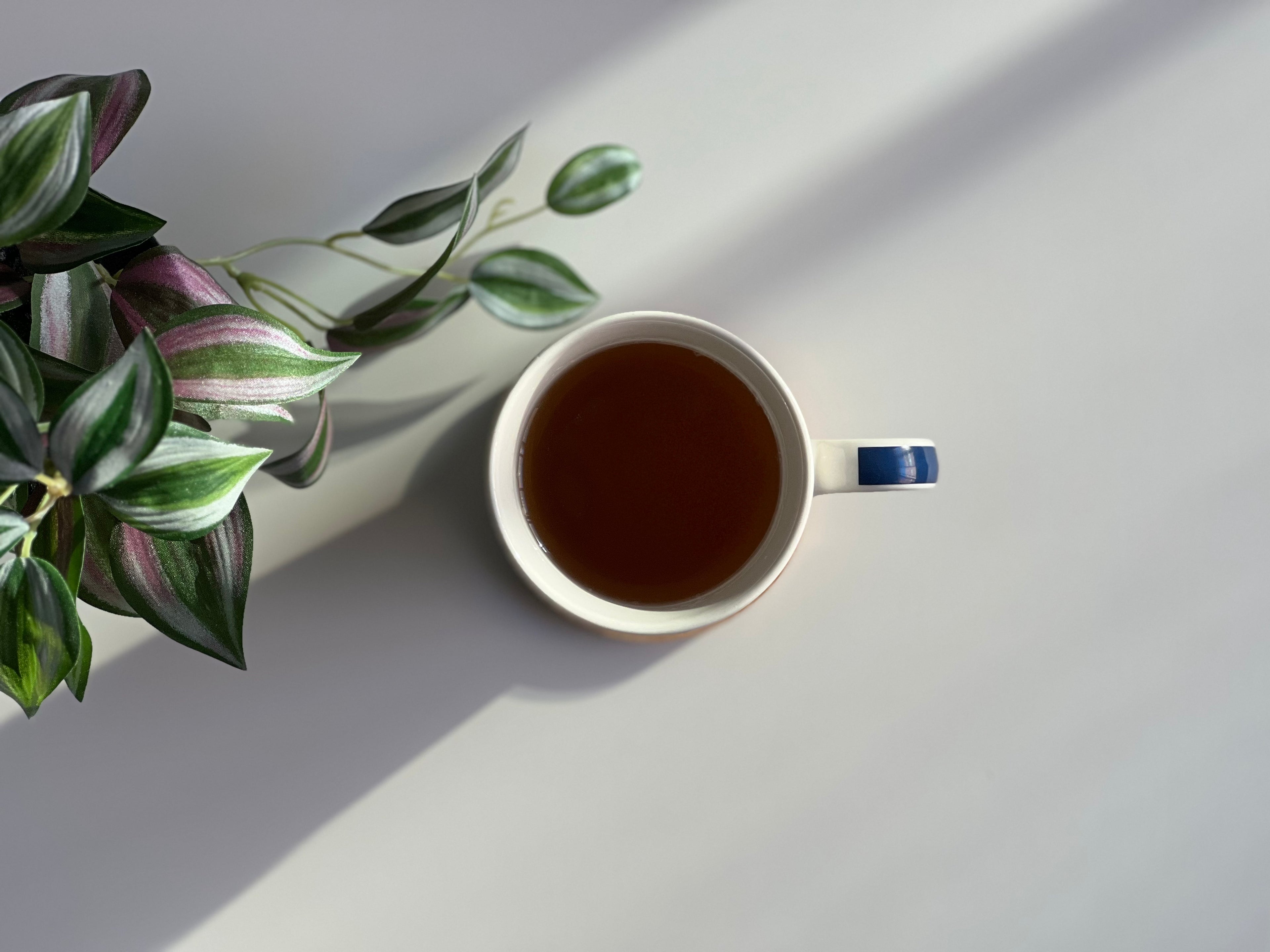 Dessous de verre | One Piece | Zoro